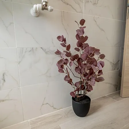 Apartment Onix N 10 Pool & Playgroung 52 *